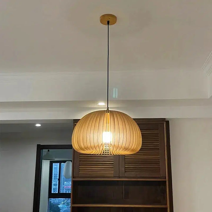 LED Ceiling Lights For Living Room And Bedroom-Light Fixtures-Arlik interiors