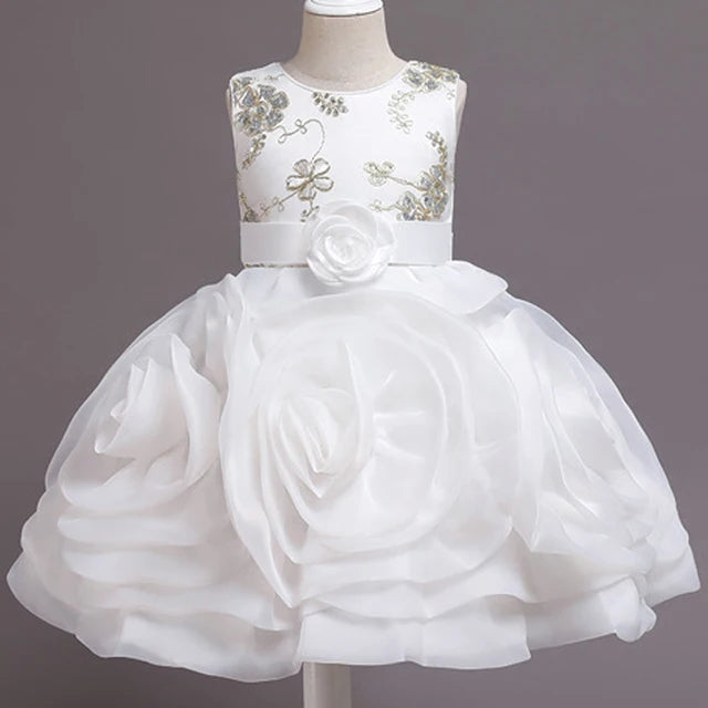 Baby Girls Birthday Party Dress Flower Elegant Dresses