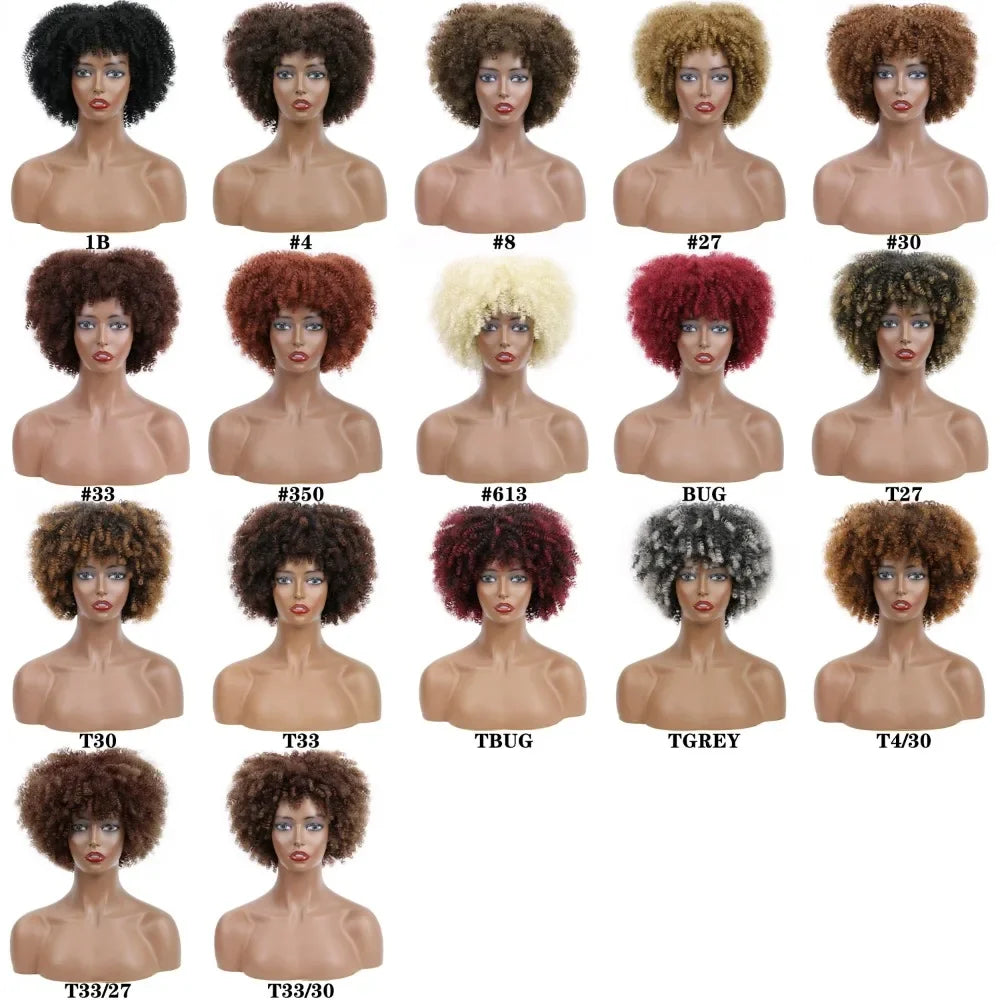 Afro Kinky Curly Wigs With Bangs Synthetic Wigs