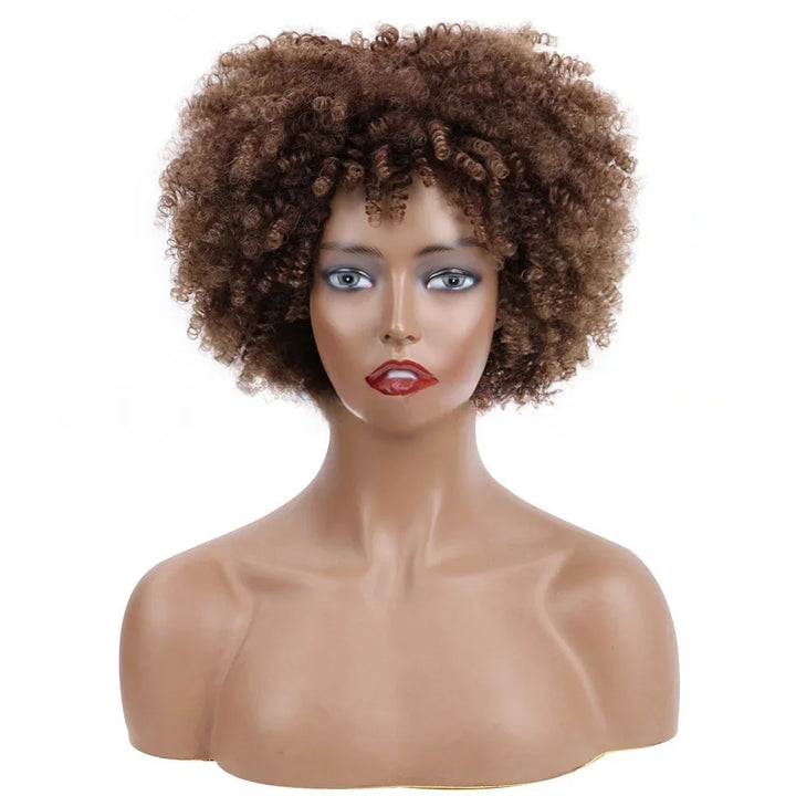 Afro Kinky Curly Wigs With Bangs Synthetic Wigs