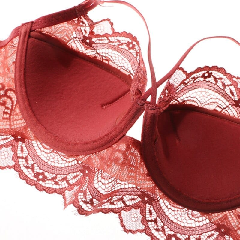 Sexy Bra Set Plus Size Women's Lingerie With Fine Lace Underwire Ruffl –  Bennys Beauty World