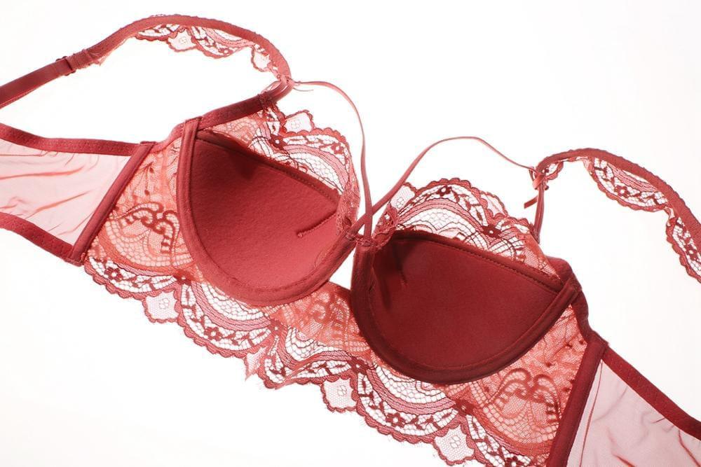 Sexy Lace Lingerie. Women's Bra Set Plus Size A B C D E Cup