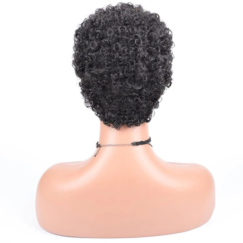 Short Afro Curly Synthetic Hair Wigs for Women BENNYS 