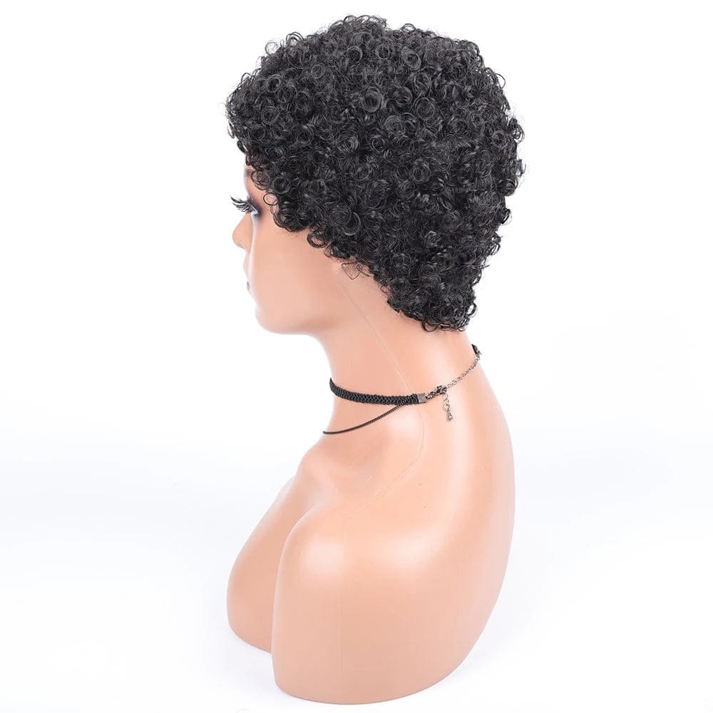 Short Afro Curly Synthetic Hair Wigs for Women BENNYS 