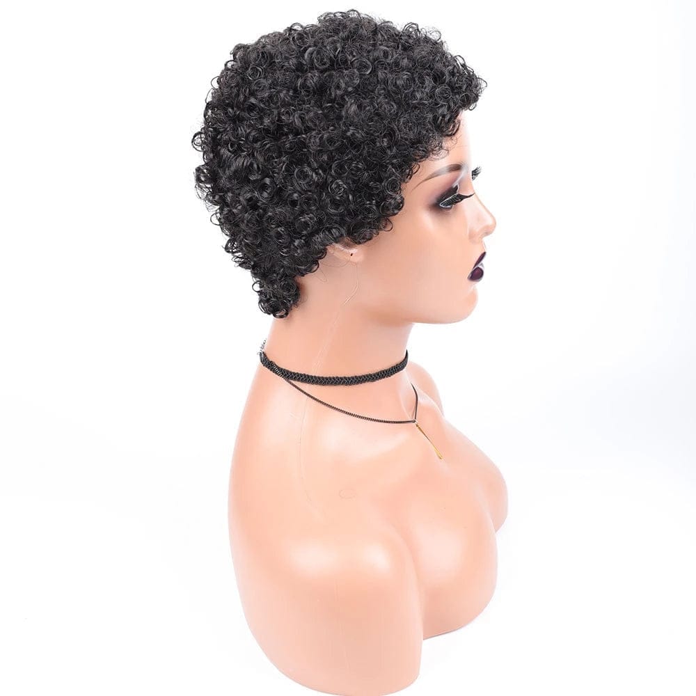 Short Afro Curly Synthetic Hair Wigs for Women BENNYS 