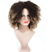Synthetic Ombre Curly Wigs for Women Short Afro Wig BENNYS 