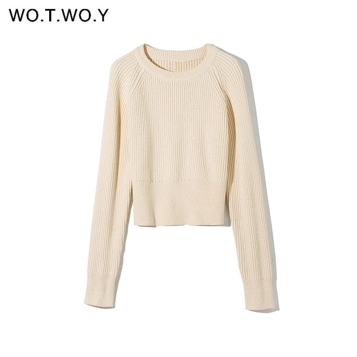 Two Piece Set Women Slim Fit Cropped Tops Women Fall Elegant Warm Outfits BENNYS 