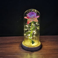 Valentines Day Gift for Boyfriend Girlfriend Eternal Rose LED Light BENNYS 