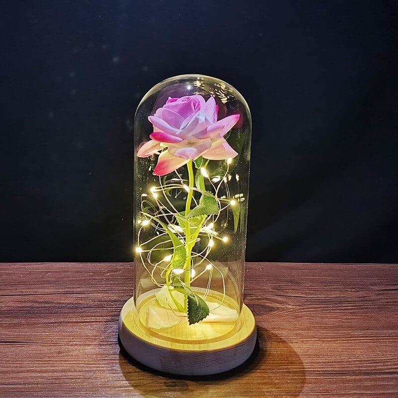 Valentines Day Gift for Boyfriend Girlfriend Eternal Rose LED Light BENNYS 