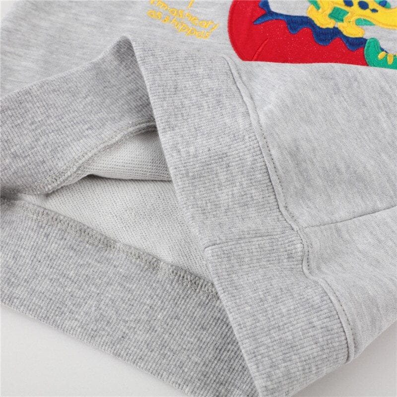 Winter Boys And Girls Sweatshirts Long Sleeve Toddler Shirts BENNYS 